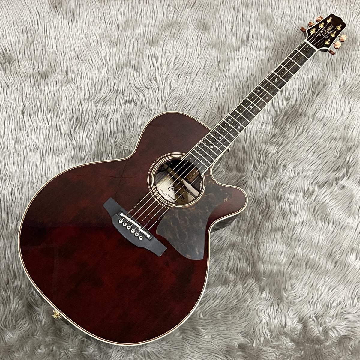 Takamine DMP50S WR エレアコギター セミハードケース付属 【島村楽器 