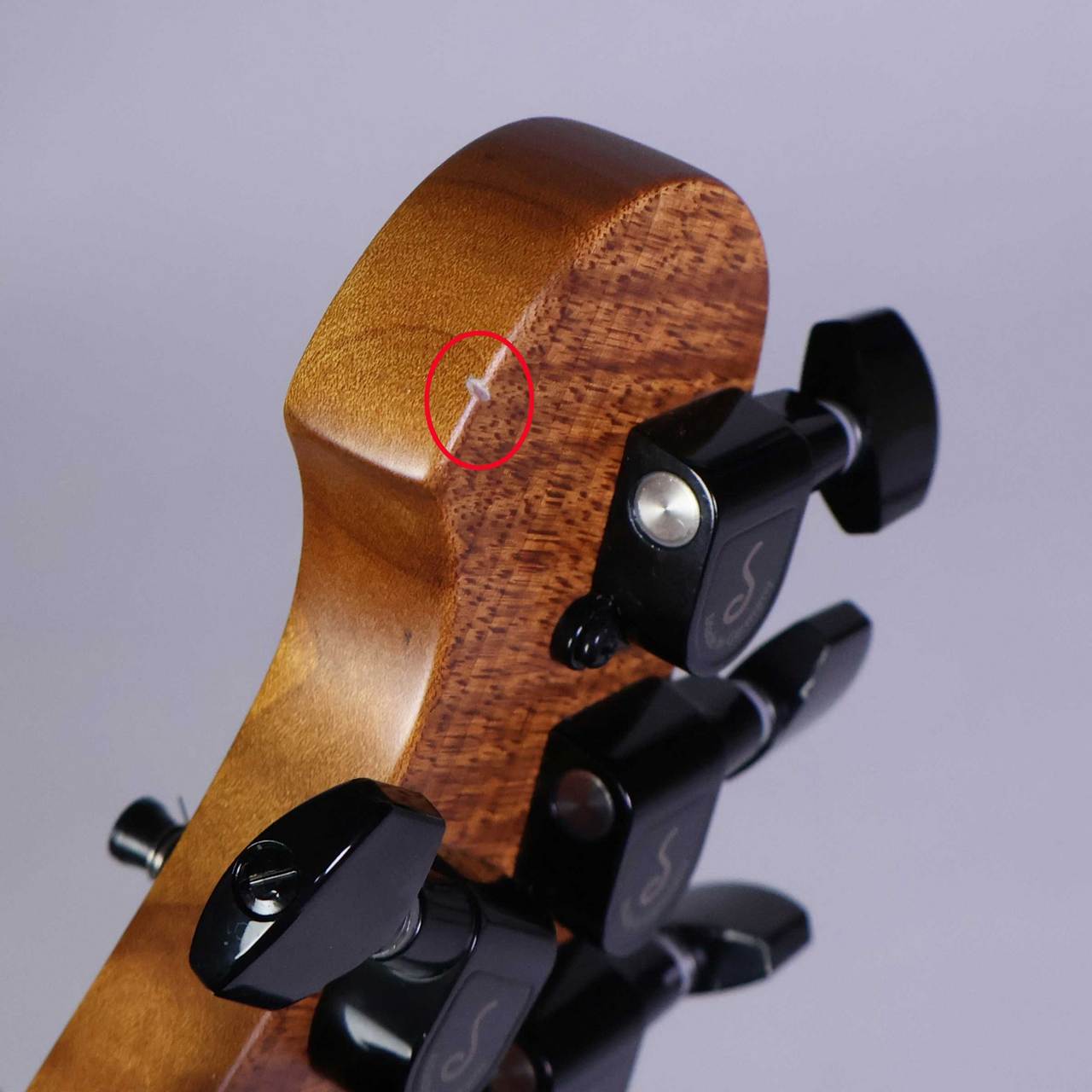 MUSIC MAN AXIS Charcoal Cloud Flame 【アウトレット】（新品/送料