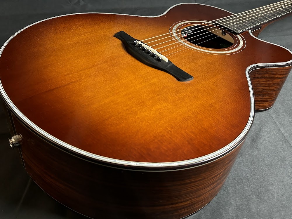 HISTORY NT-301/Ca（新品/送料無料）【楽器検索デジマート】