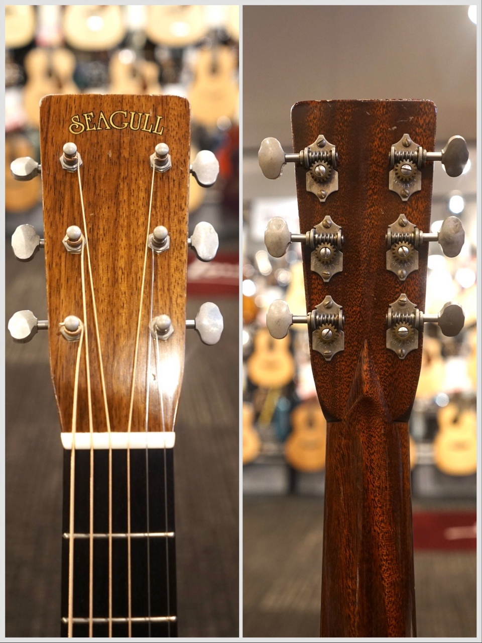 【希少!!美品♪】シーガル・ギター・マーリン 71jNegBkh8L._UF894,1000_QL80_.jpg