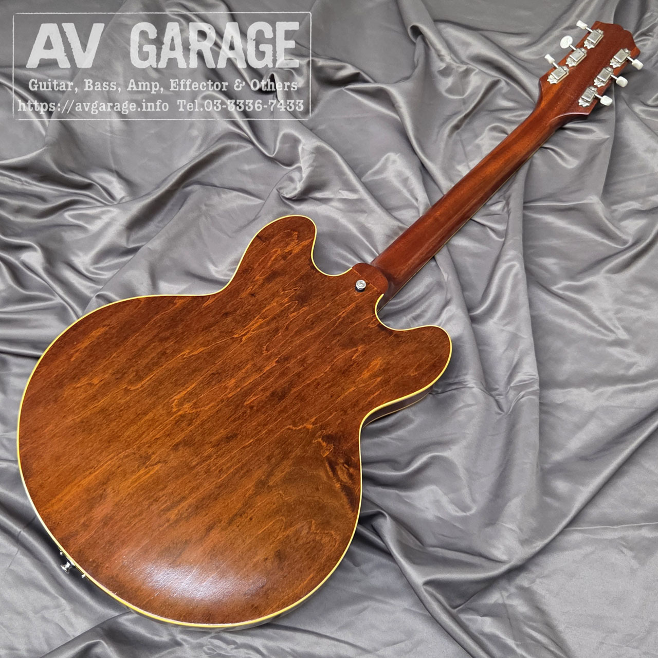 KING SNAKE Swamp Dirty Walnut 2020年代フジゲン製（中古）【楽器検索