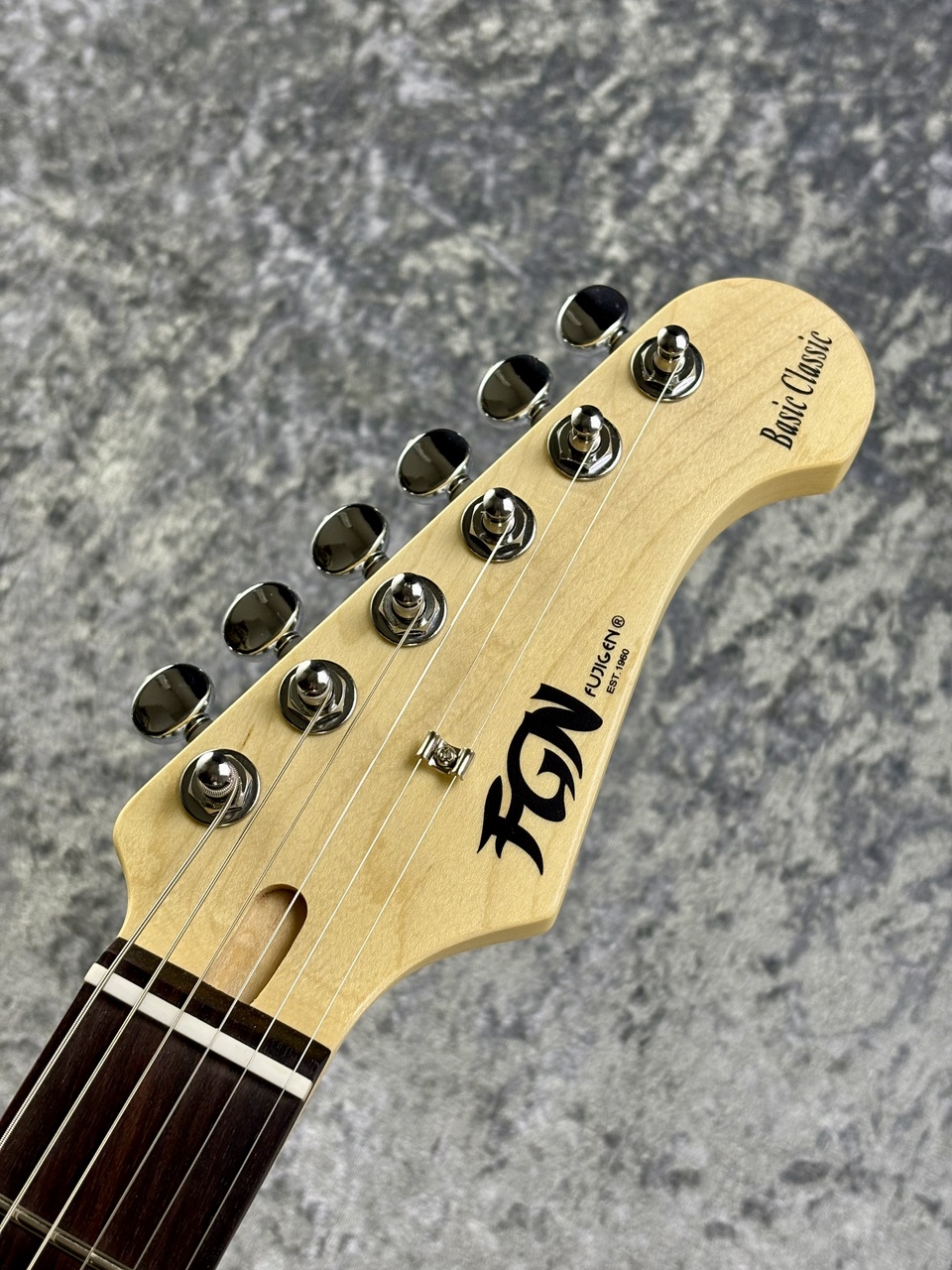 FUJIGEN(FGN) Basic Classic Series BCTE100RBD-VWH ~Vintage