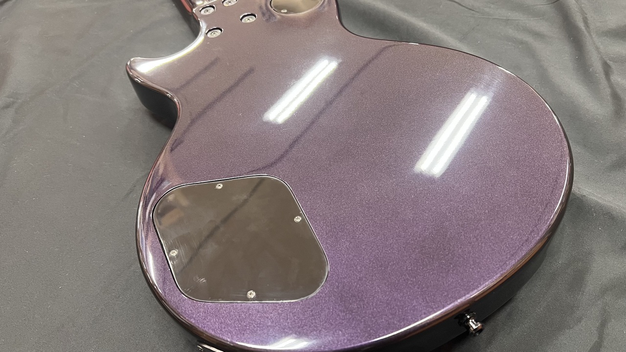 FERNANDES RE95G（中古）【楽器検索デジマート】