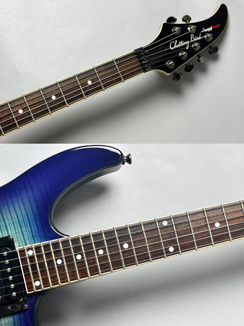 Chatting Bird 【USED】CDE-HH 2010年代前後製【3.20KG】（中古