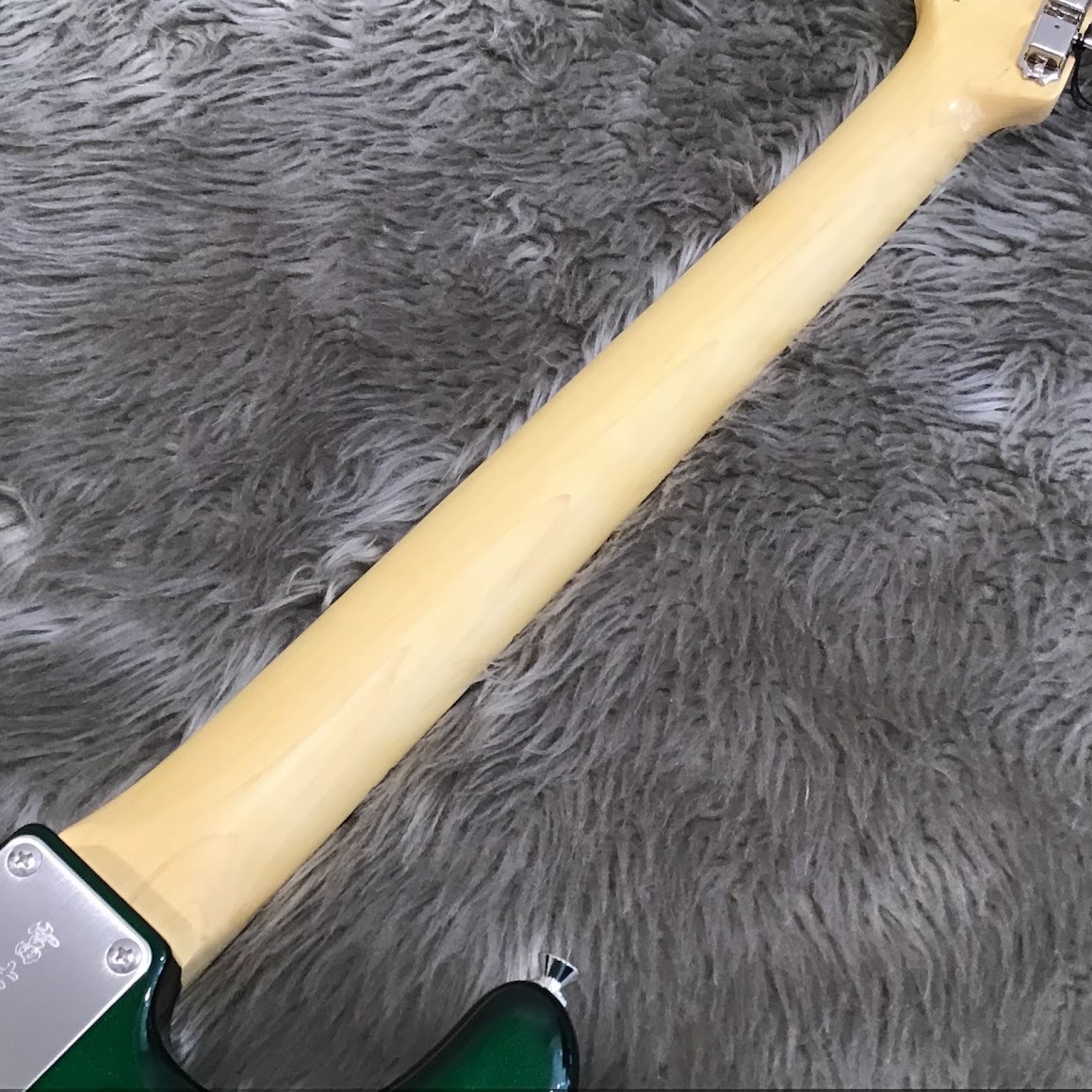 FUJIGEN(FGN) (フジゲン)NST110RAL/01（色CAG/キャンディアップル