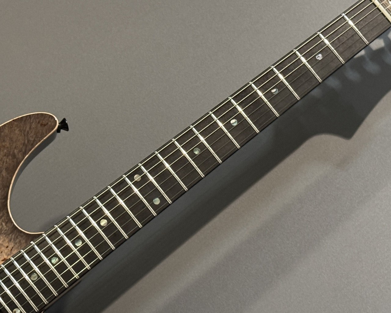 T's Guitars DST-Pro24 Trans Black Burst【3.47kg】【Waterfall Burl