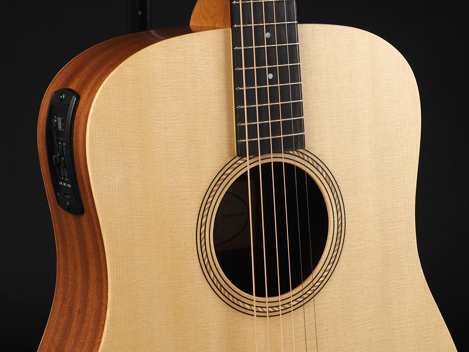 Taylor Academy 10e（新品特価/送料無料）［デジマートSALE］【楽器