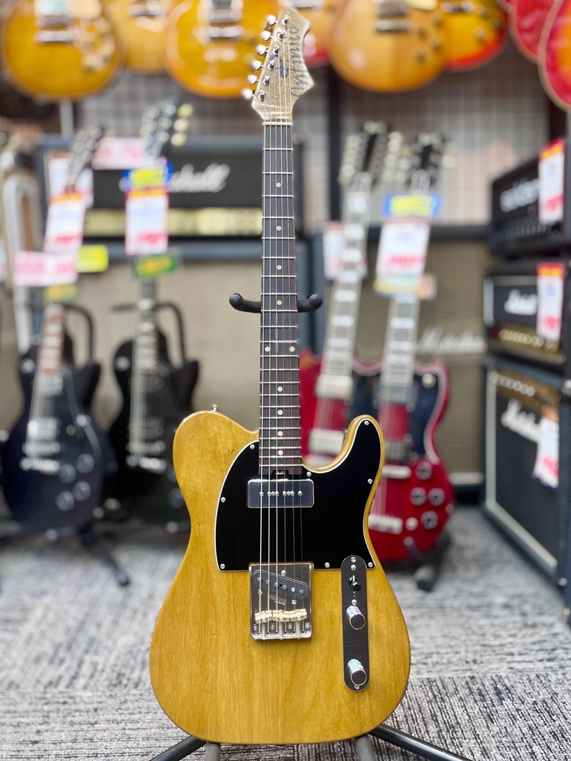 infinite Trad Fullsize T Korina -Natural, Light Aged- 2022年頃製