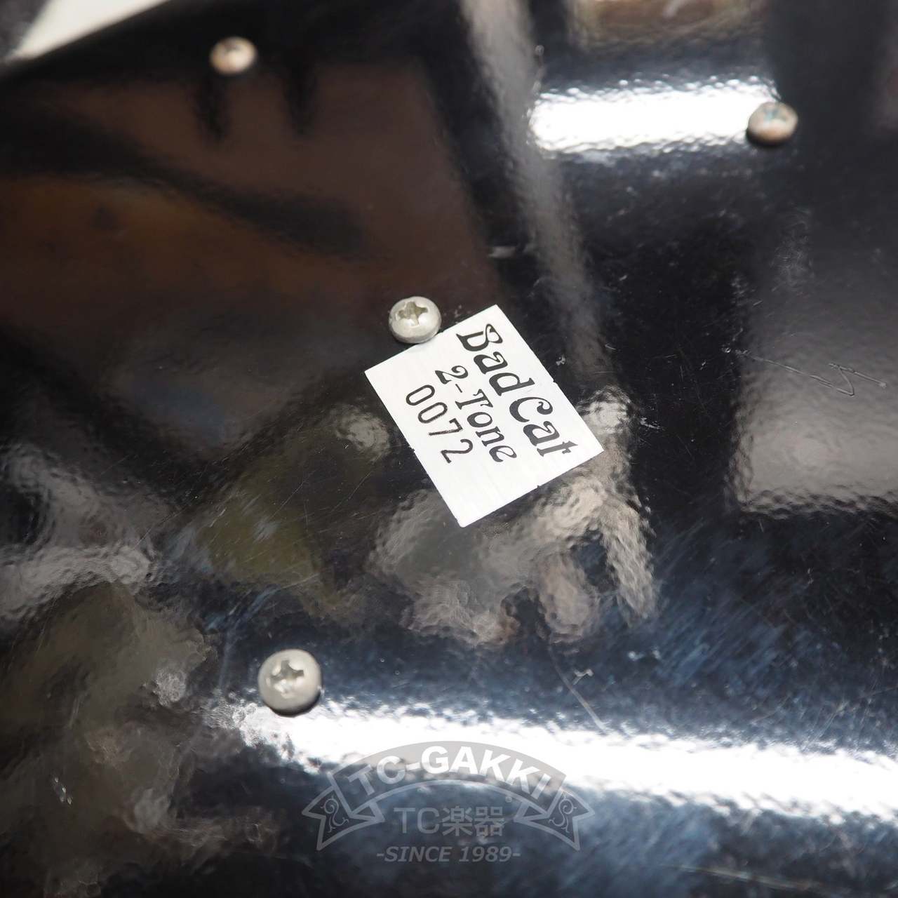 Bad Cat 2-Tone（中古）【楽器検索デジマート】