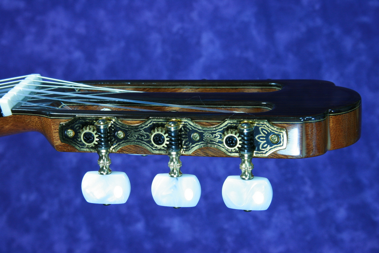 ARIA A－100S オール単板（新品）【楽器検索デジマート】