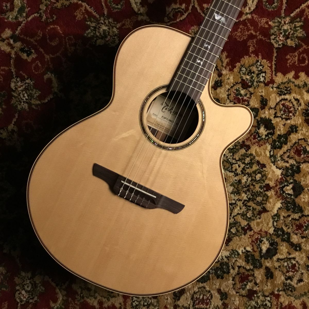 Takamine TSP10NCS