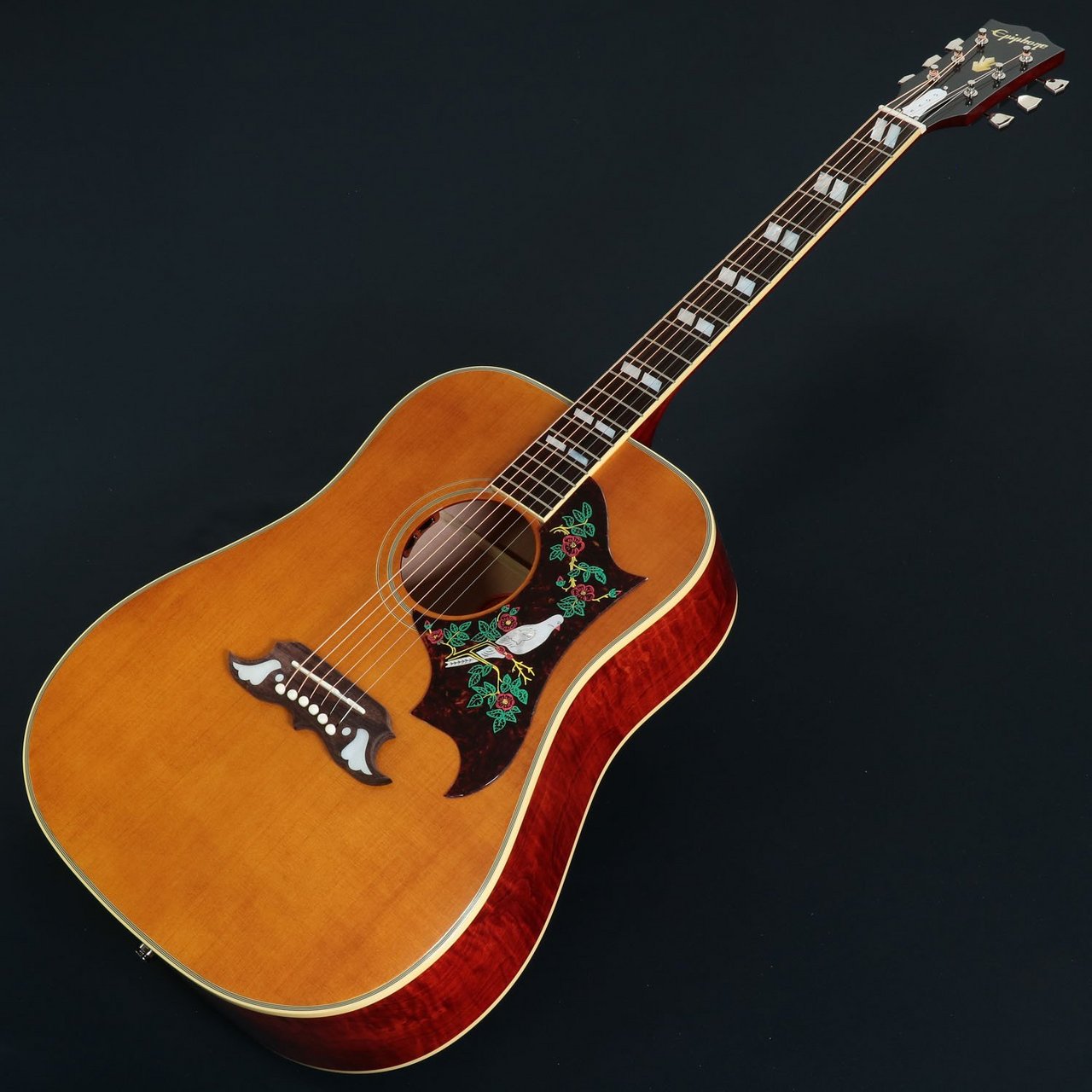 【プレゼント当選品】Epiphone DOVE NAアコースティックギター Amazon.com: Epiphone Dove Studio Solid Top Acoustic Electric