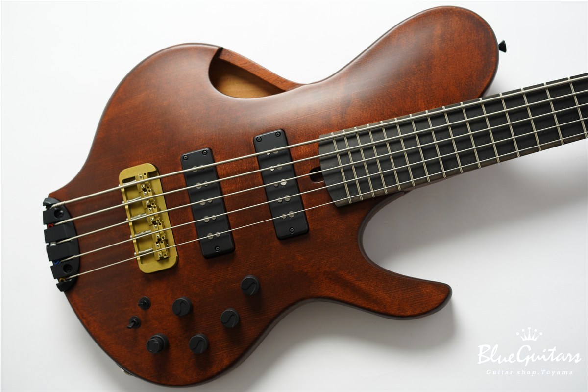 Collectera S1-SH - Antique Brown（新品/送料無料）【楽器検索
