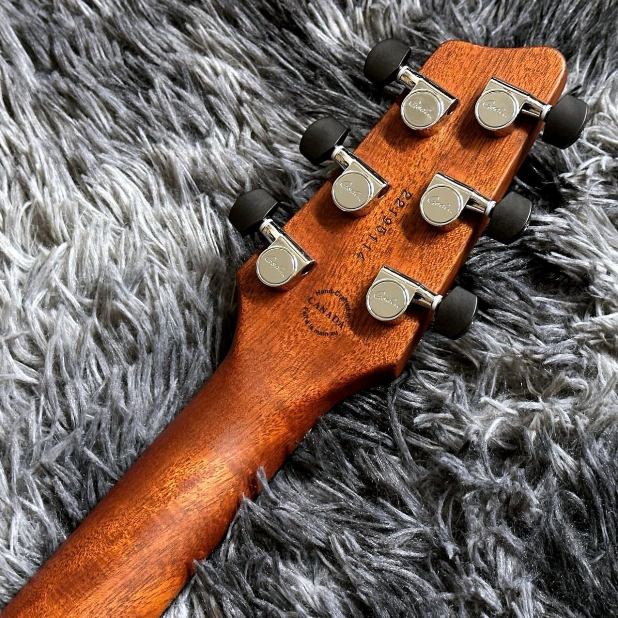 Godin LGXT Cognac Burst Flame AA 【特価】（新品特価/送料無料
