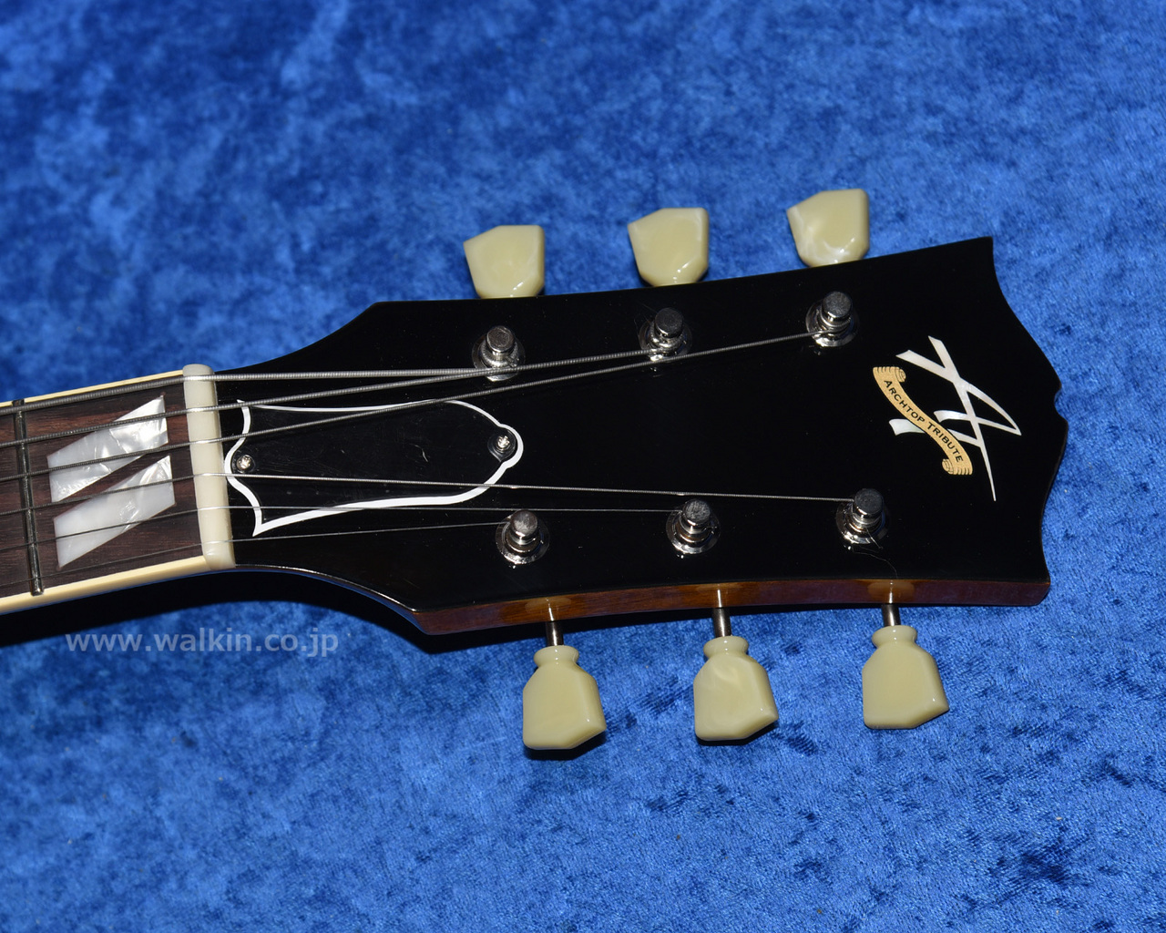 Archtop Tribute AT105M（新品）【楽器検索デジマート】