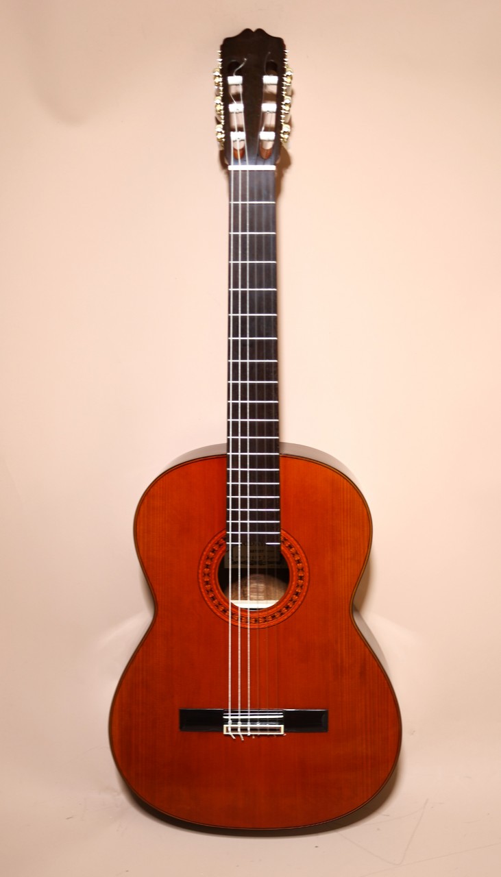 KODAIRA クラシックギター AST30 JAPAN Hケース付 | uvastartuphub.com