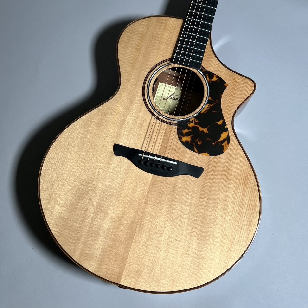 JAMES J-900 アコースティックギター