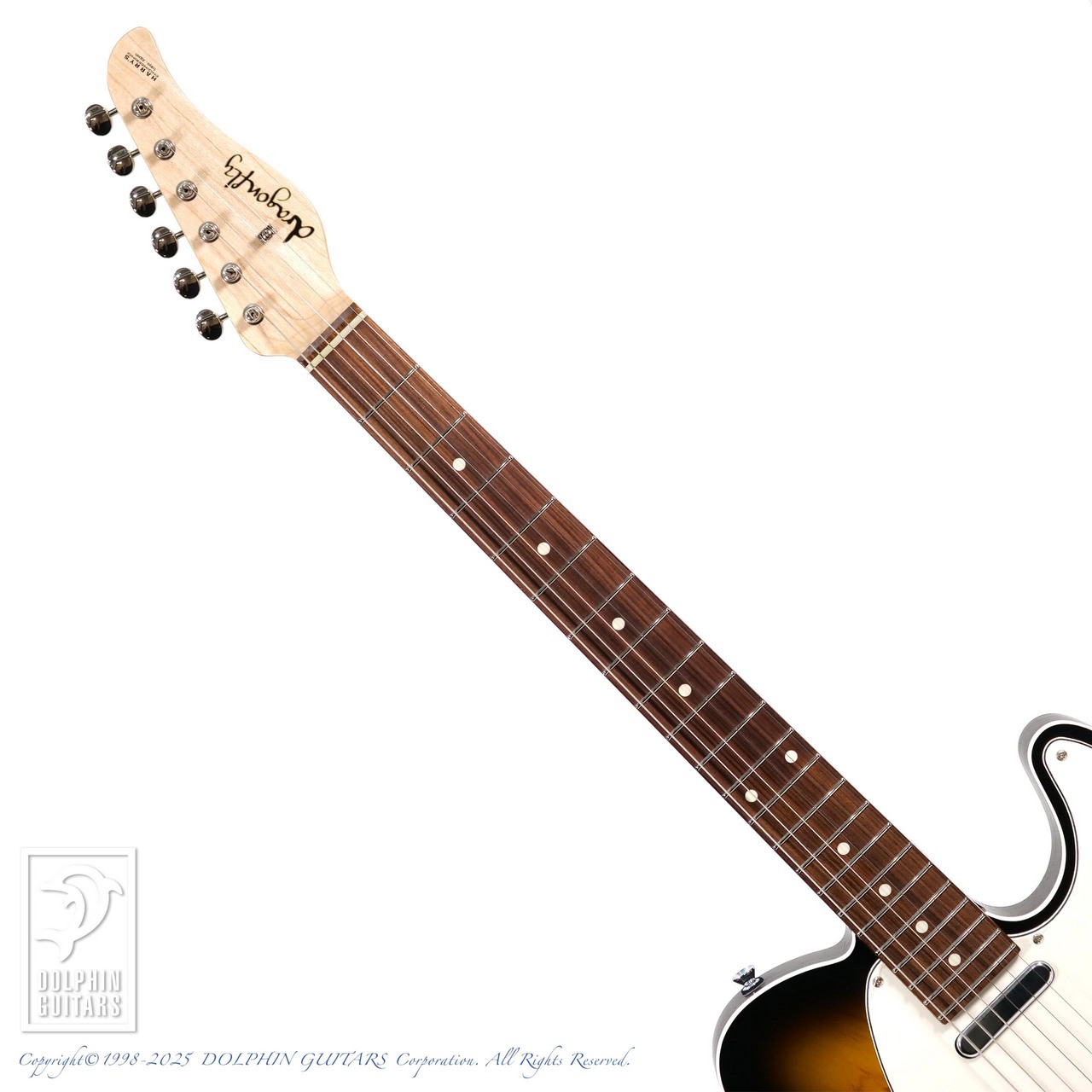dragonfly M-TEE Custom (Open Pore 2TSB)（新品）［デジマート