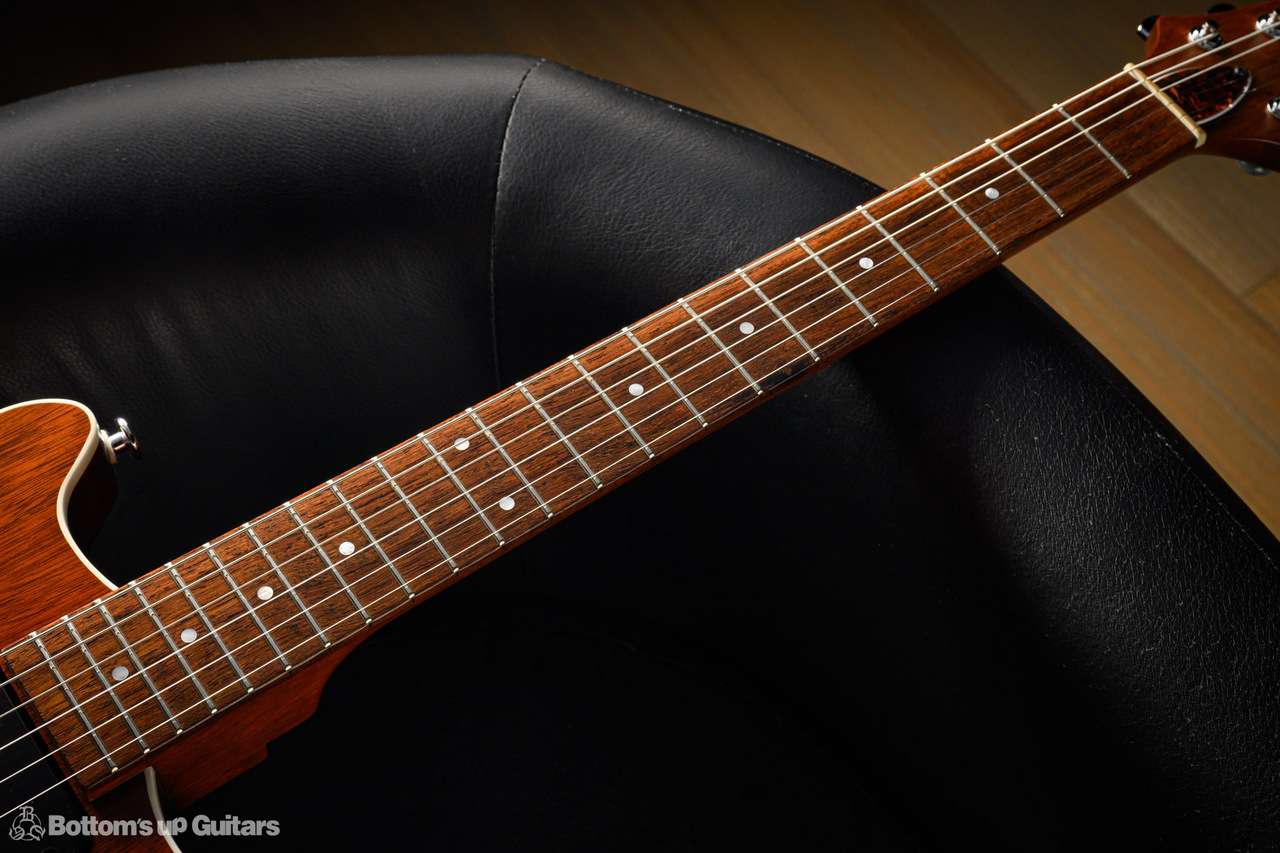 Kz Guitar Works Kz One Semi-Hollow 3S23 TOM Standard - Natural