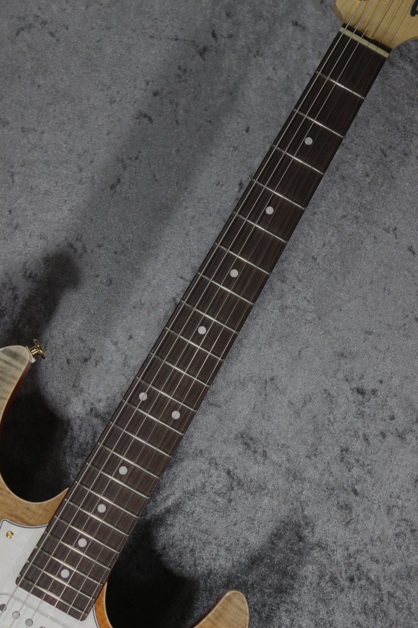 FUJIGEN(FGN) 【良杢個体】EOS2-FM-R Ripe Kaki Gradation