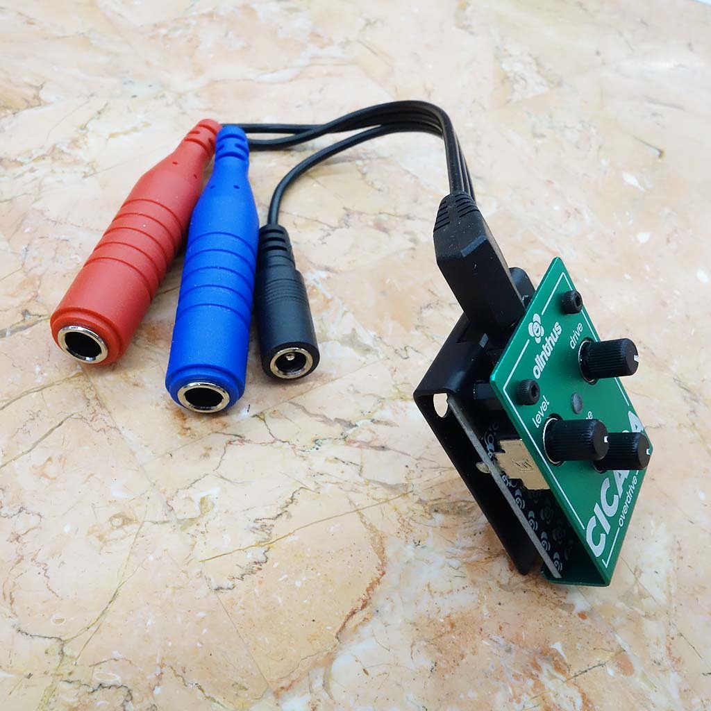 Olinthus オリンサス エフェクター ファズ Earwig [入出力用ブレイク