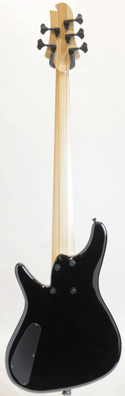 Sugi NB5IR FM / ASH / TRSP（新品）【楽器検索デジマート】