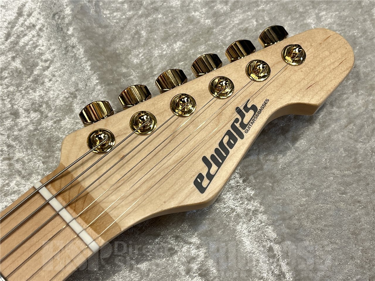 EDWARDS E-SNAPPER TO【Eclipse Gold】（新品/送料無料）【楽器検索