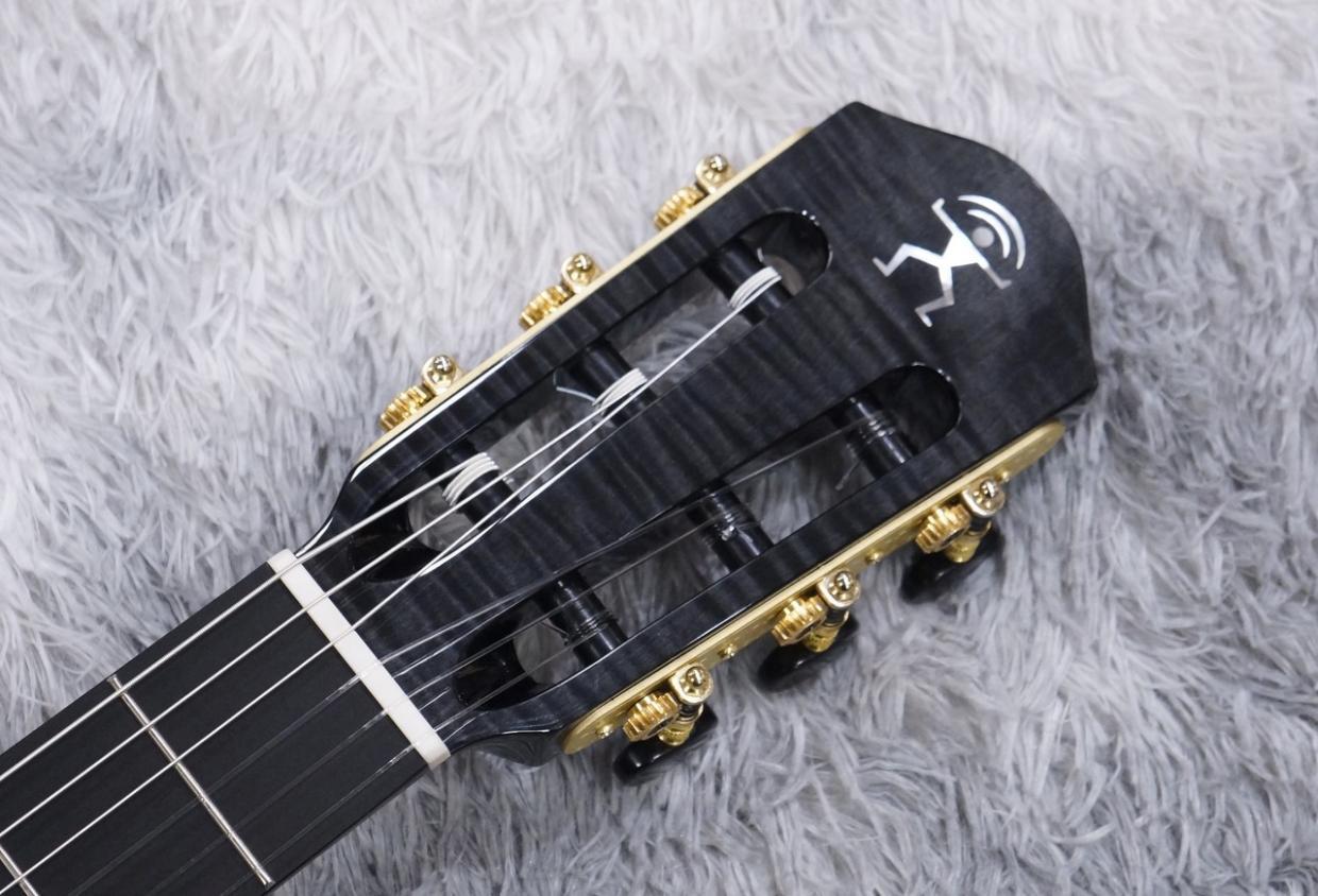 aNueNue aNN-LN77E（新品/送料無料）【楽器検索デジマート】