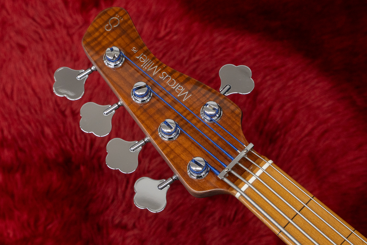 Sire P5 Alder-5 DRD FL #2N23500466 4.035kg【GIB横浜】（新品