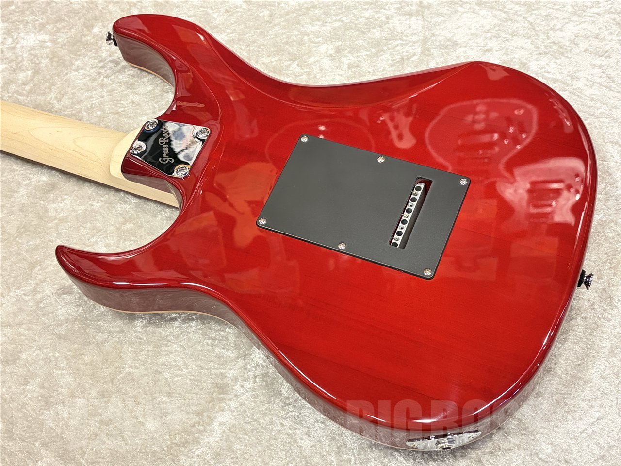 GrassRoots G-SNAPPER-CTM【See Thru Red】（新品/送料無料）【楽器