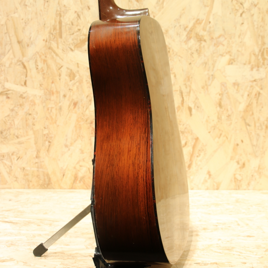Martin D-21 Jacaranda 1963（ビンテージ）【楽器検索デジマート】