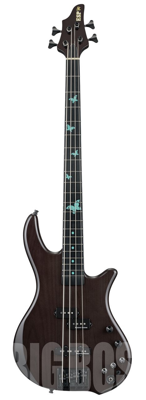 ESP BOTTOM BUMP PJ NANAMI【See Thru Black】（新品/送料無料）【楽器