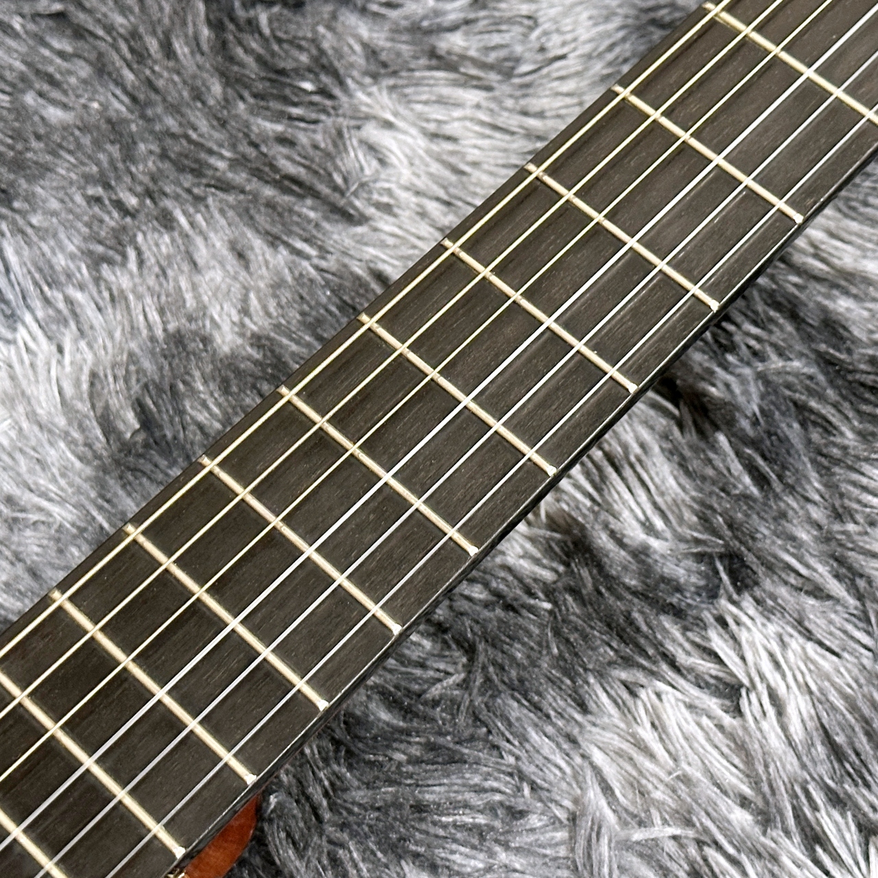 LA ESPERANZA Class SS Professional w/Passive Pickup【中古品