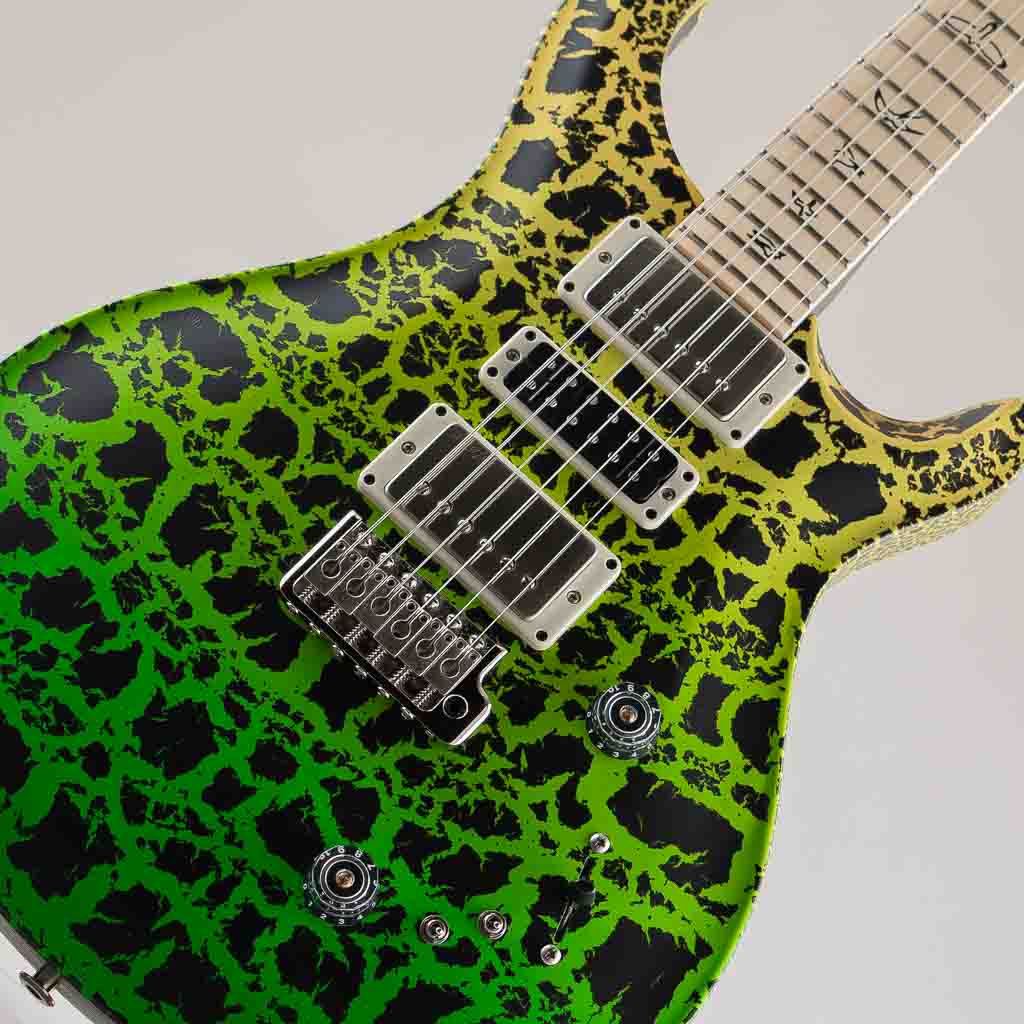 ギター PRS 25th Anniversary Swamp Ash Special Paul Reed Smith(PRS) Swamp Ash Special Maple Sprayer's Choice 2025