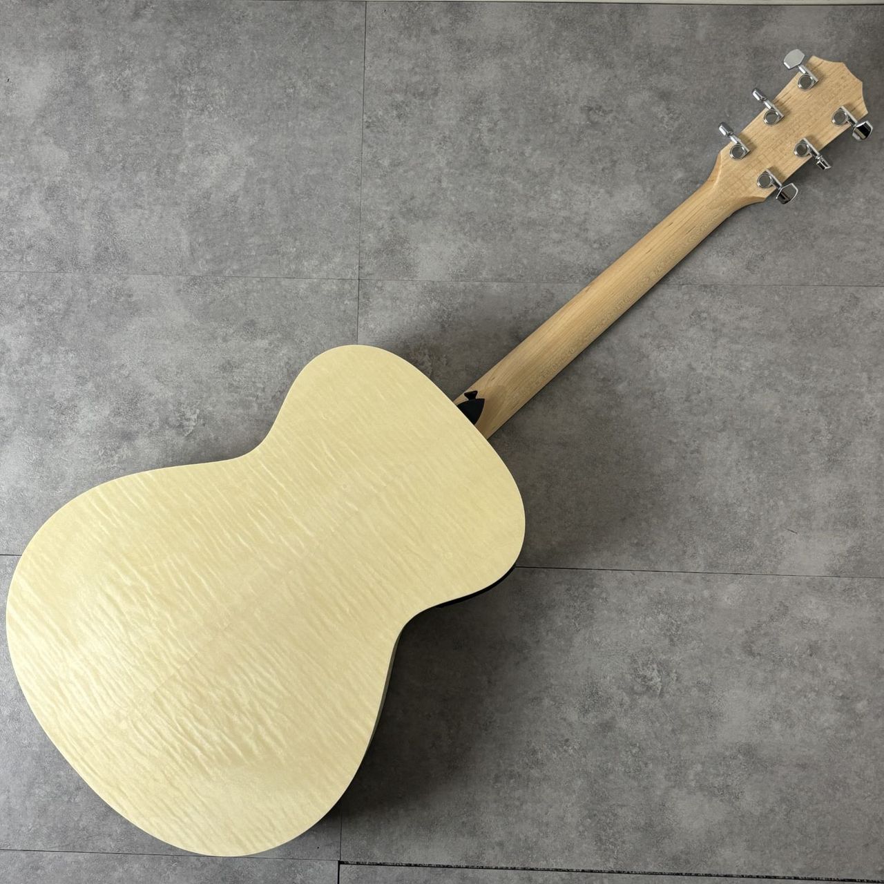 Taylor LTD EG Academy 12e エレアコギター／島村楽器オリジナルモデル