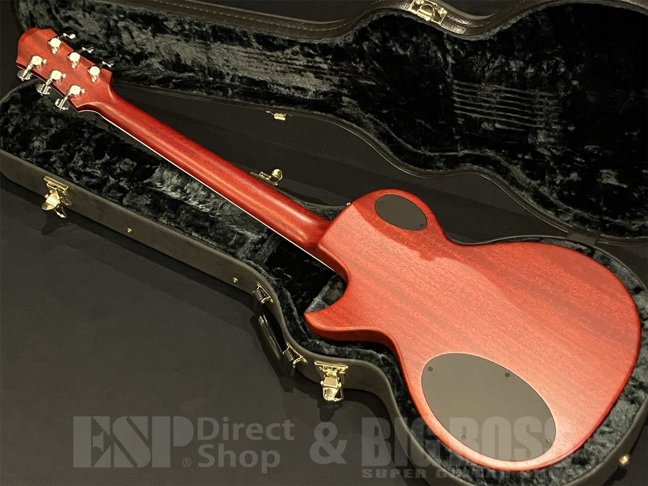 Zemaitis A24MF / Natural 【HISASHI Mod】（中古/送料無料）【楽器