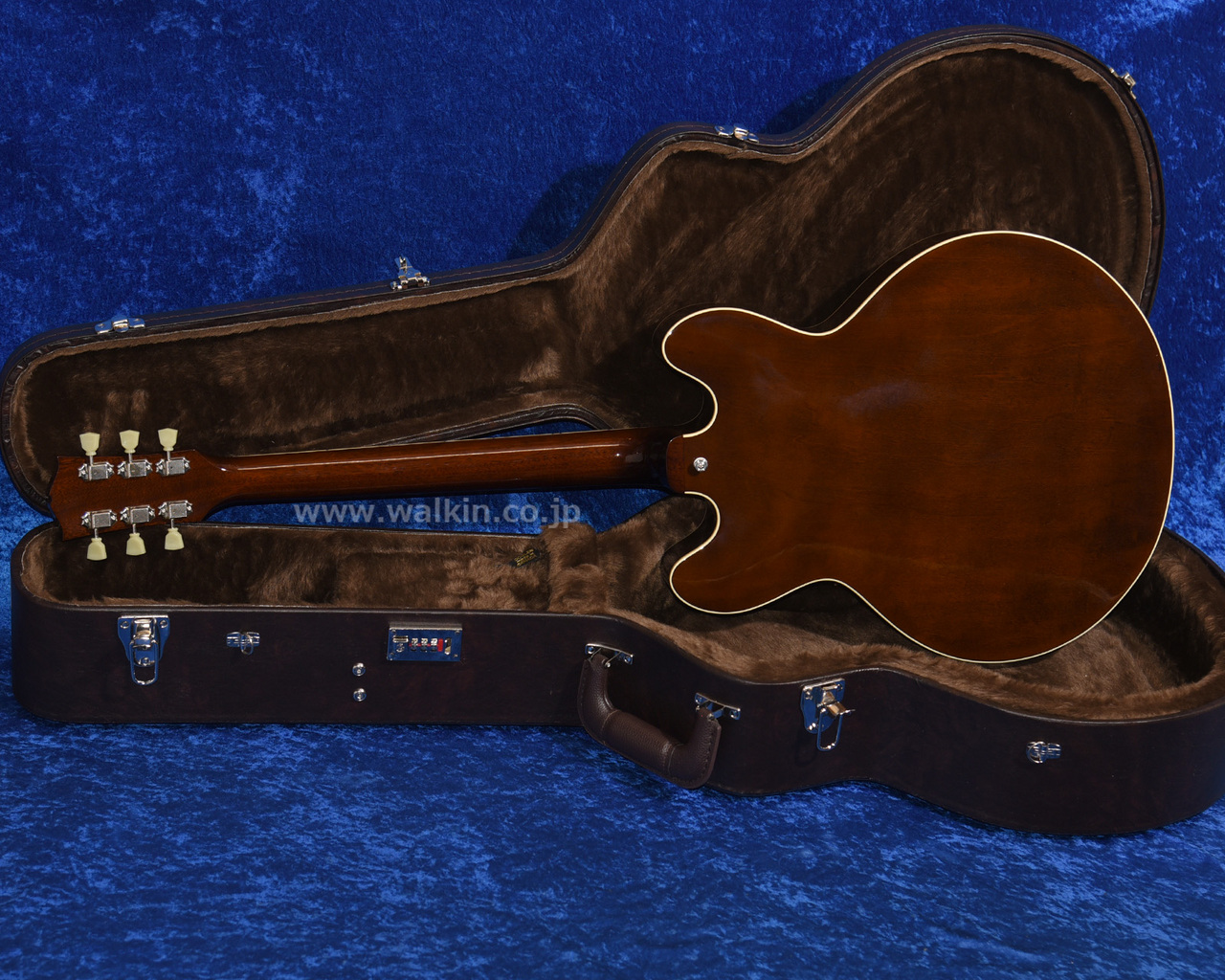 Archtop Tribute AT150D（新品）【楽器検索デジマート】