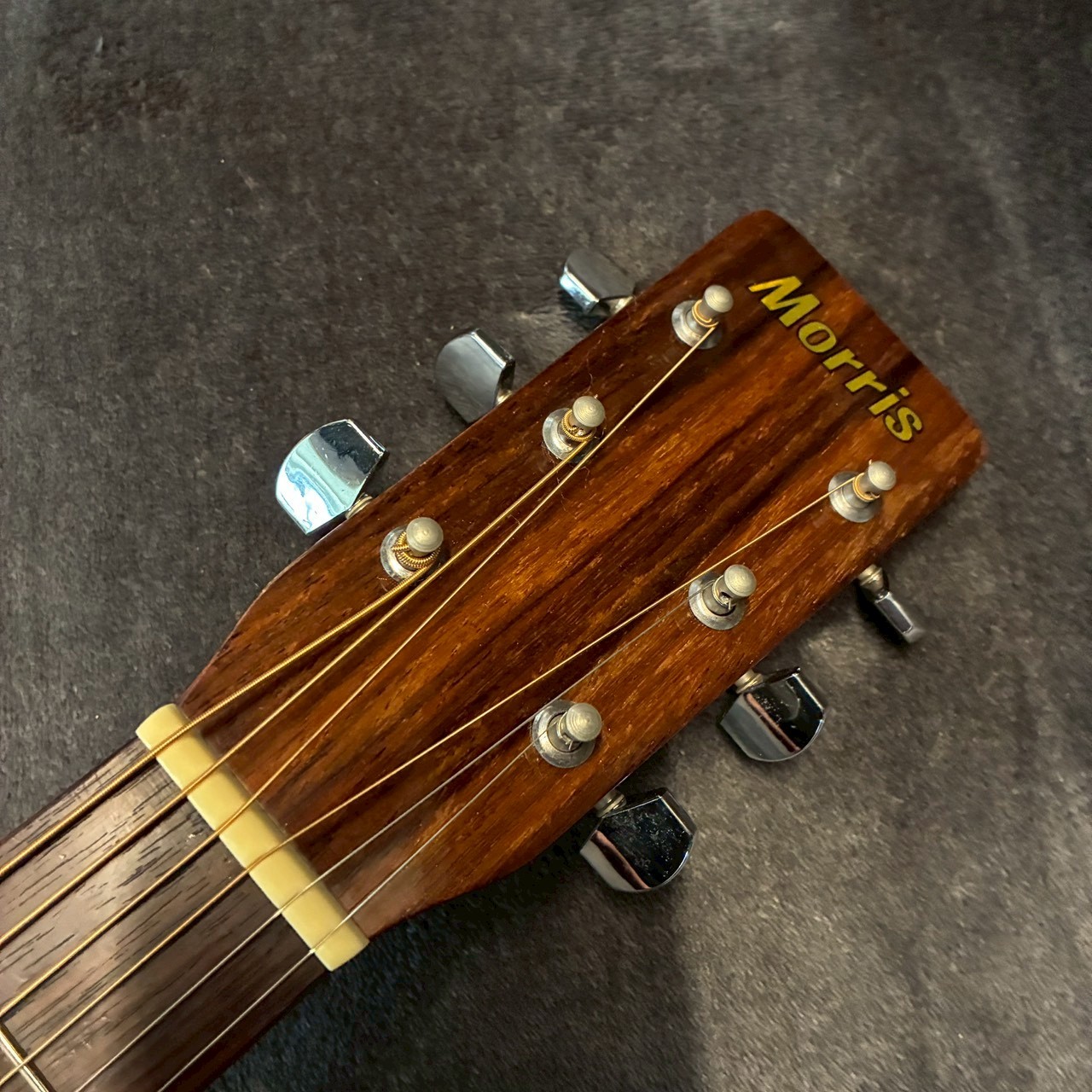 Morris MD502 【USED】【2.08㎏】（中古）【楽器検索デジマート】