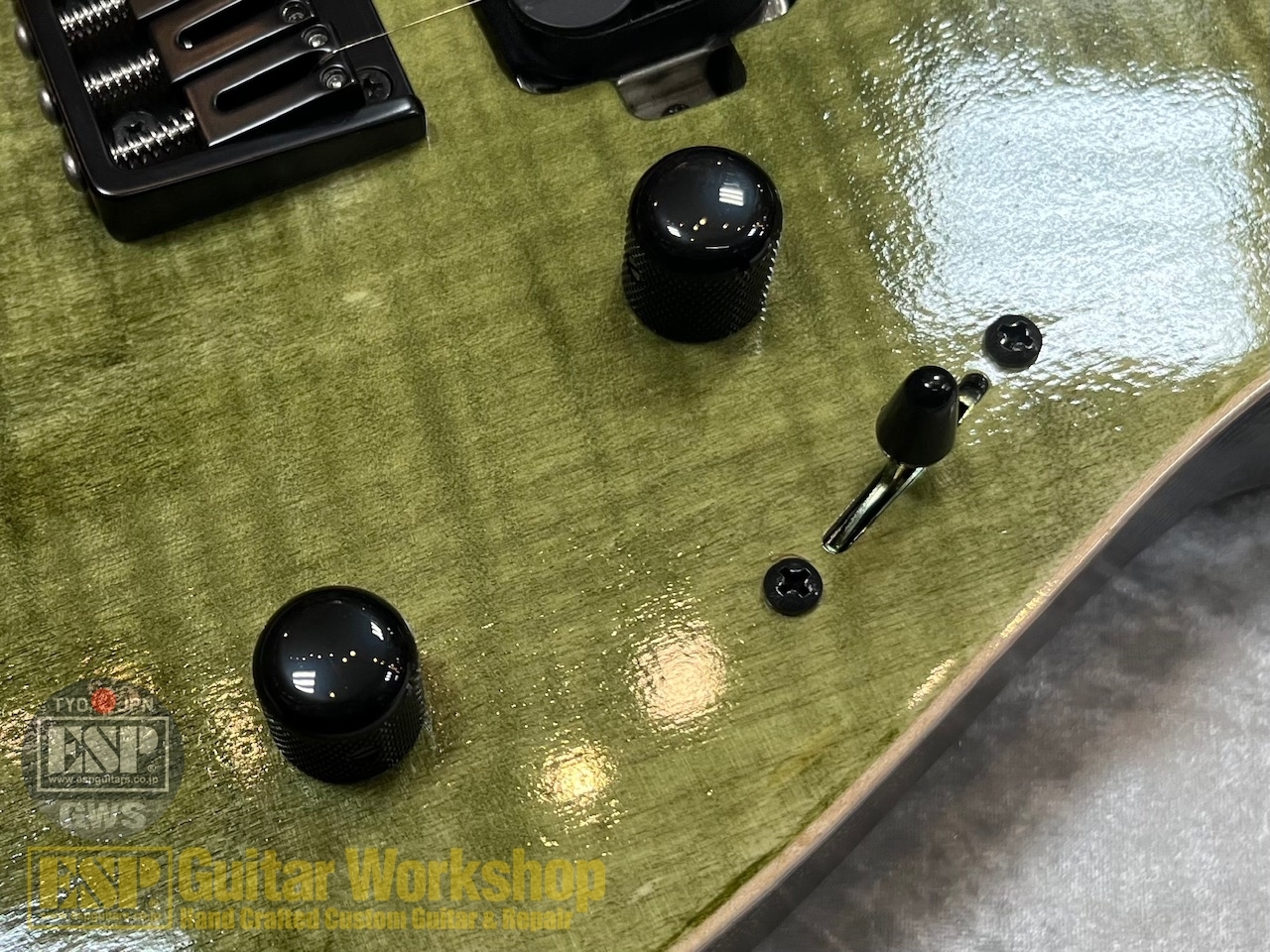 EDWARDS E-M-II CTM【Forest Green】（新品/送料無料）【楽器検索