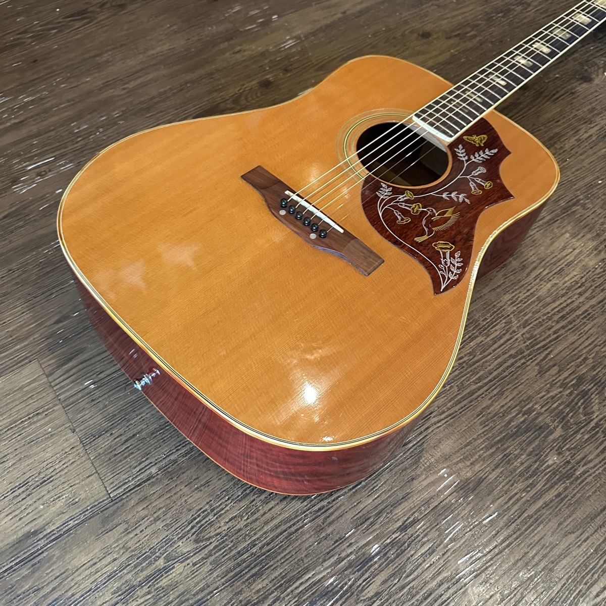 超希少】アリアAria WH-25 ジャパンヴィンテージ ハミングバード