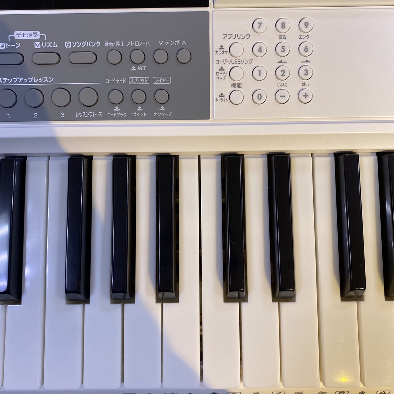 Casio LK-516（中古/送料無料）【楽器検索デジマート】