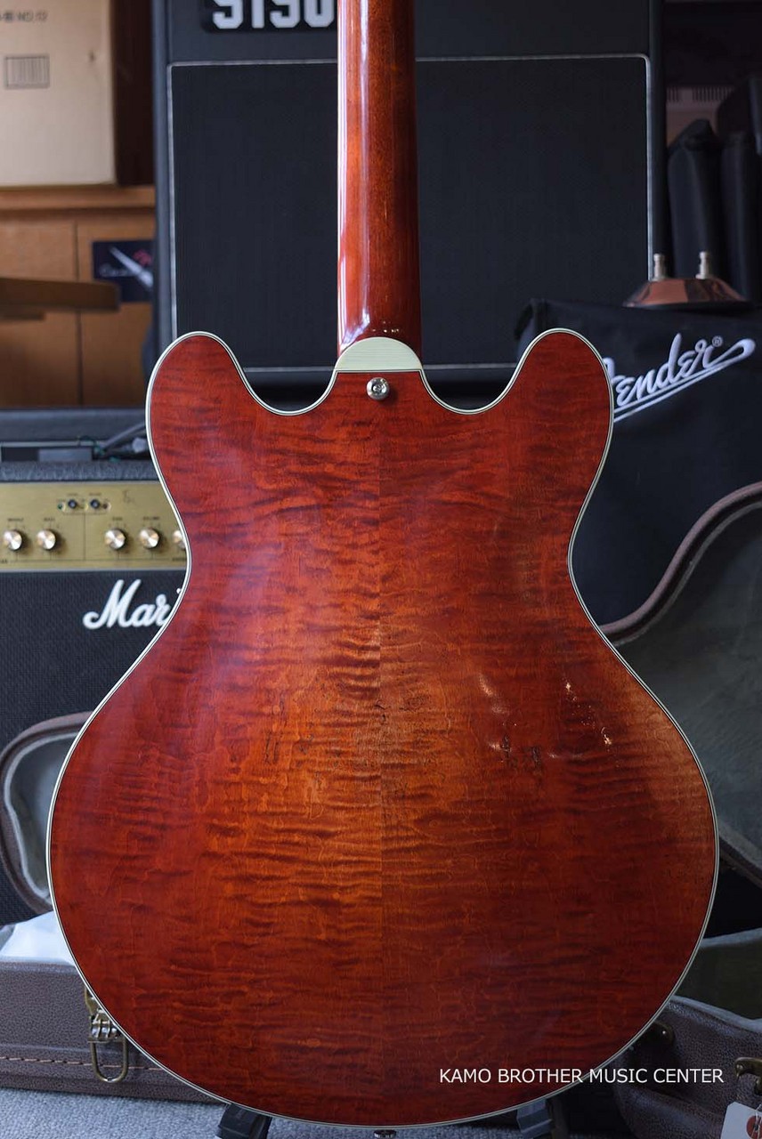 Eastman T59/V (Antique Varnish / Antique Red) （新品）【楽器検索