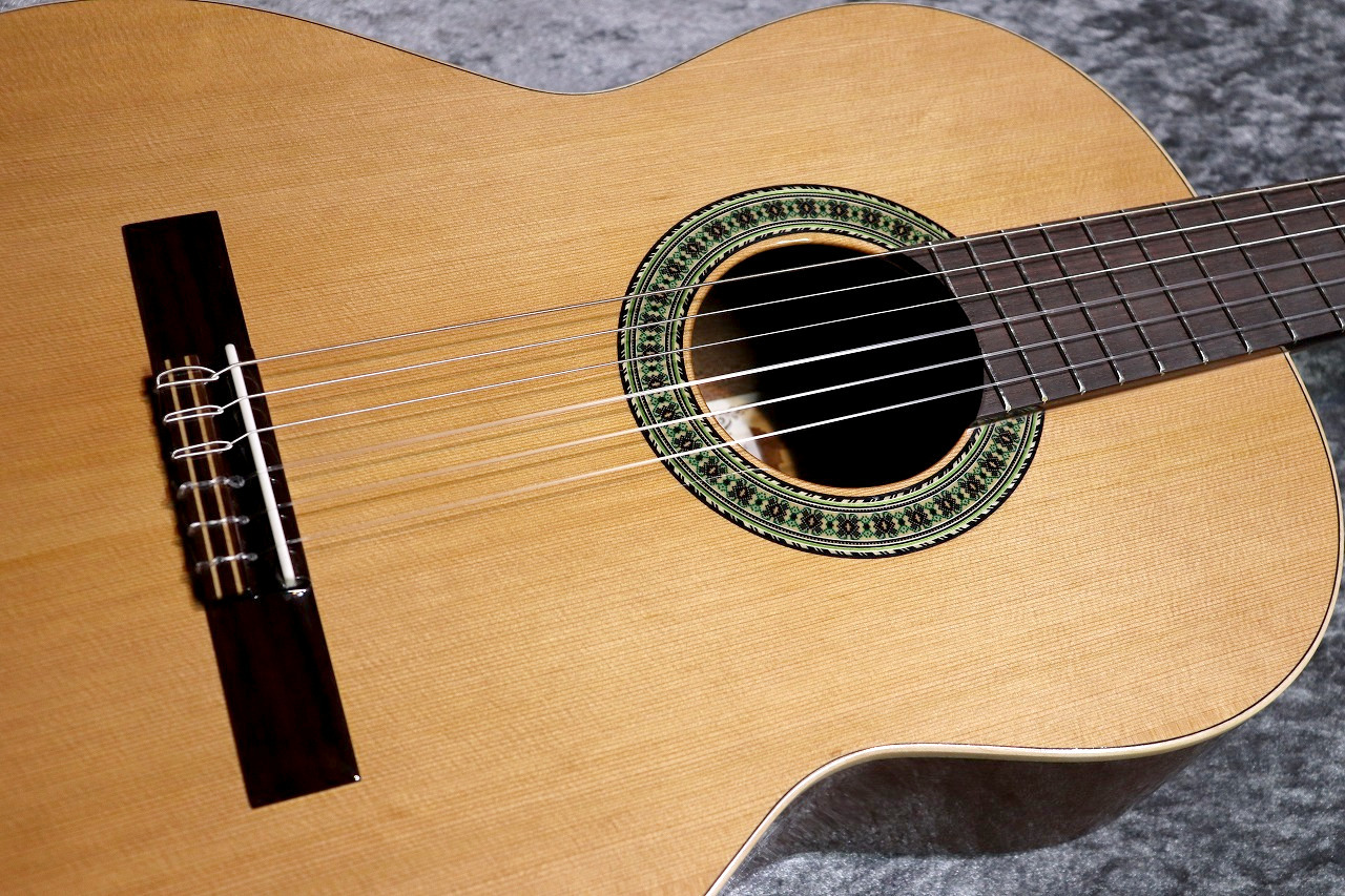 Paco Castillo / パコ・カスティージョ 【小物6点サービス!】201 杉