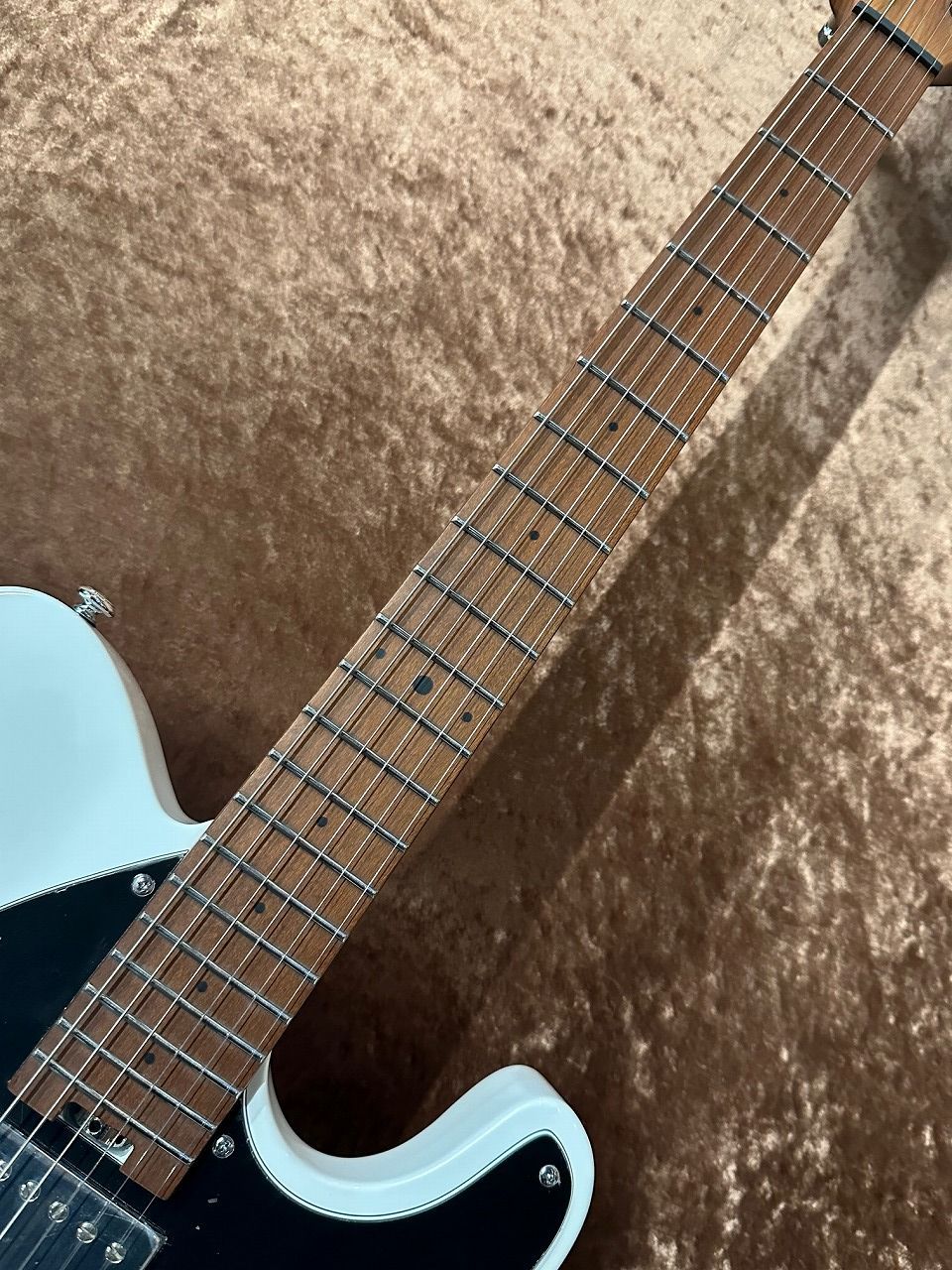 Balaguer Guitars Thicket Standard -Gloss White- （新品/送料無料