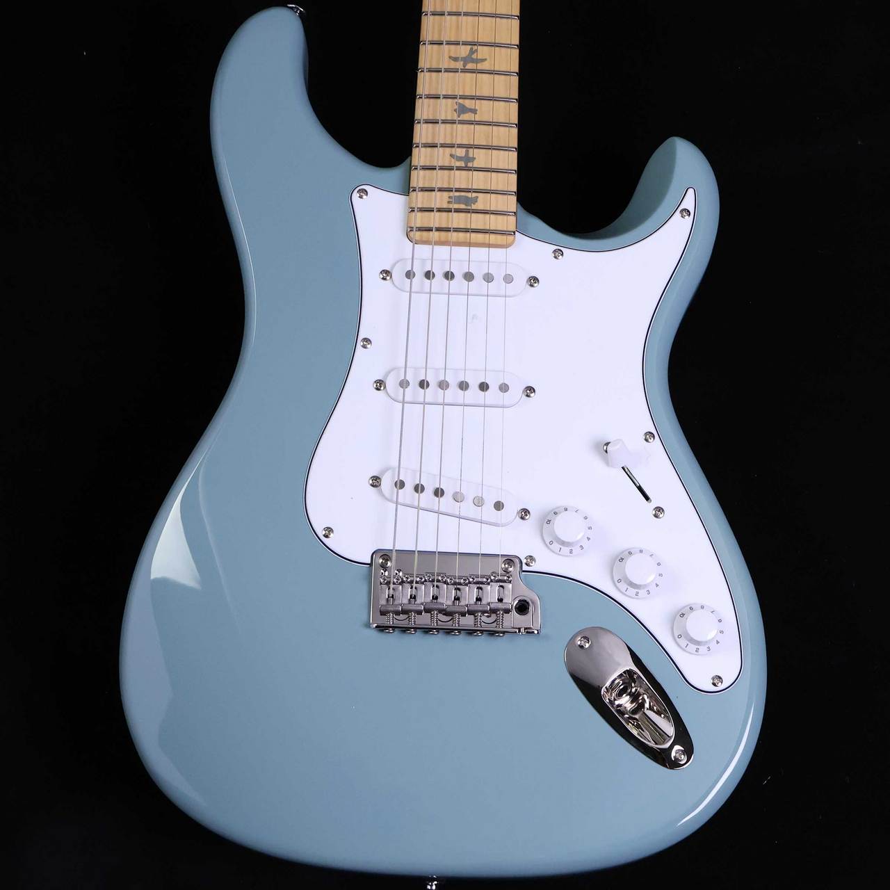 Paul Reed Smith(PRS) SE Silver Sky Maple Stone Blue SEシルバー