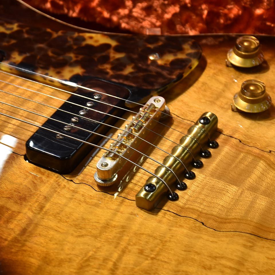 Asher Guitars Electro Sonic 1 Master Series Tabacco Burst #1318