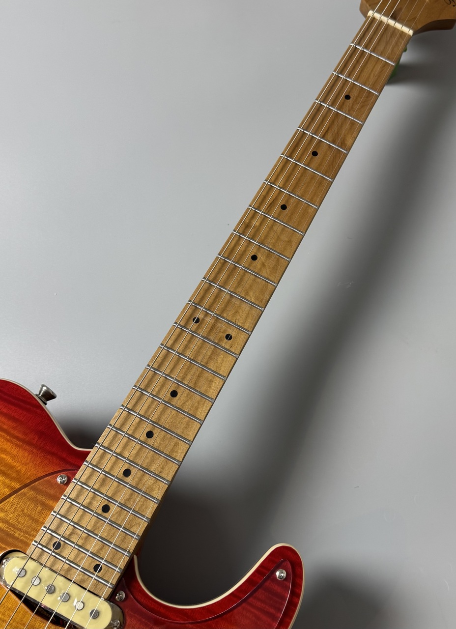 Bacchus TAC24AD-FMH RSM/M -Cherry Sunburst-（新品）【楽器検索