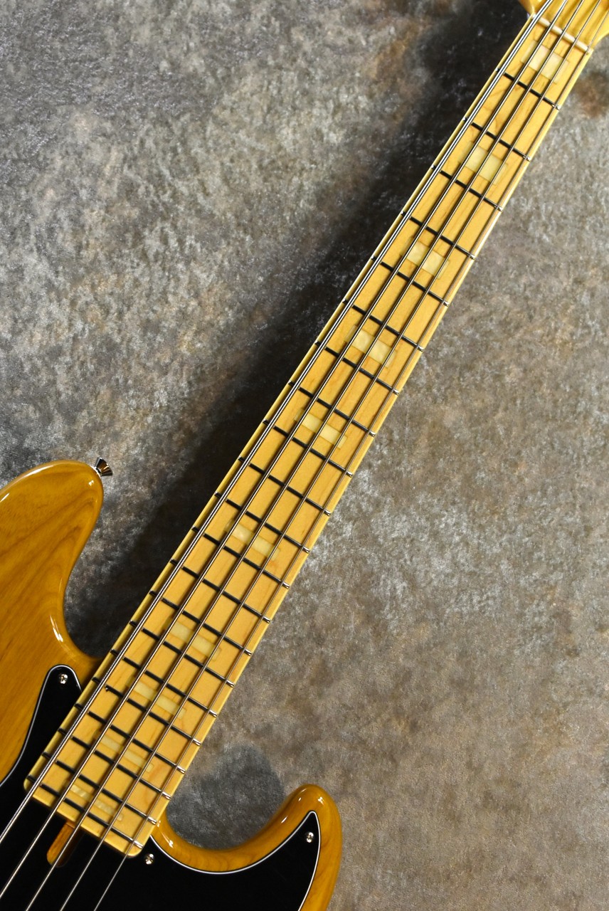 NJB100MBAHV / FGN Guitars
