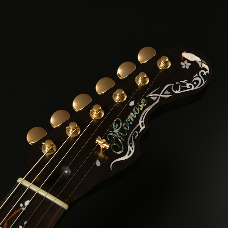 Zemaitis METAL FRONT MFG-AC-24 Diamond & Z Black 【Made in
