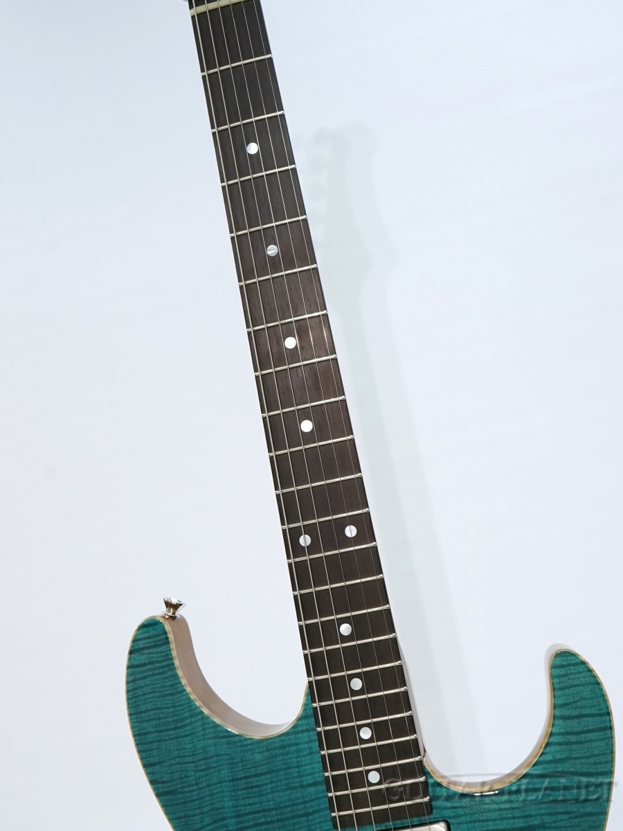 コンボーネント、カスタムギター Addictone Custom Guitars Custom Arena Brazilian Rosewood